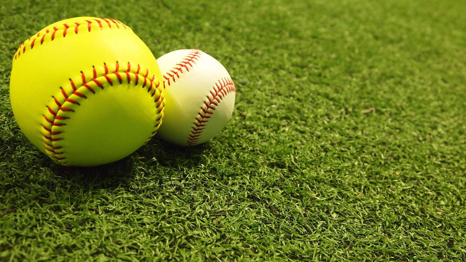 Baseball Softball Grass
